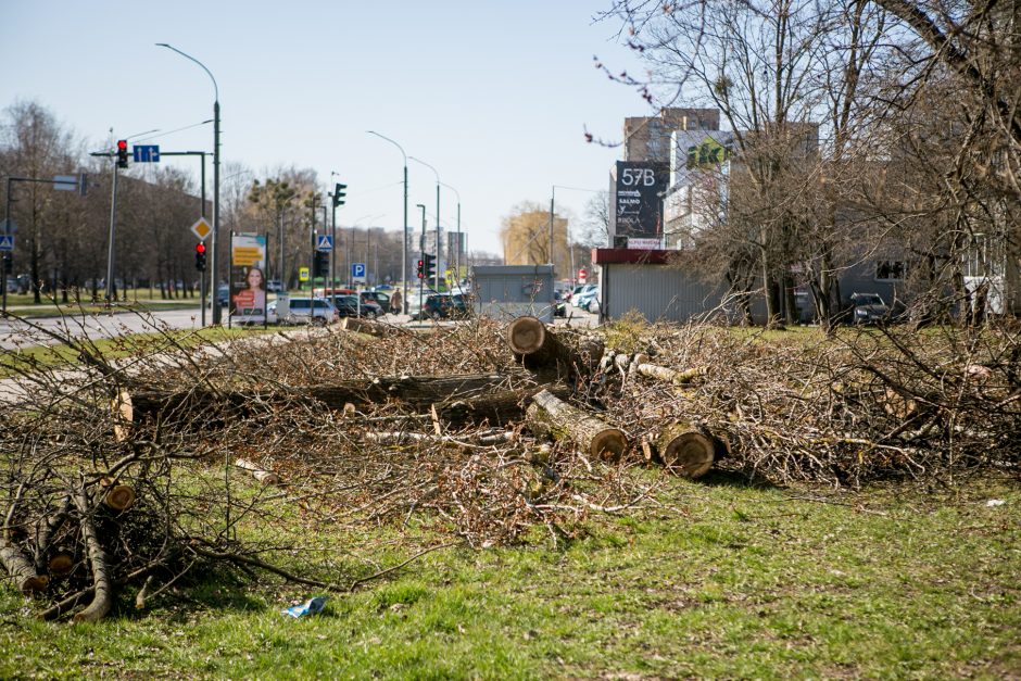 Ištiko šokas: V. Krėvės prospekte iškirto visą eilę medžių