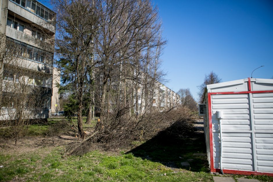 Ištiko šokas: V. Krėvės prospekte iškirto visą eilę medžių