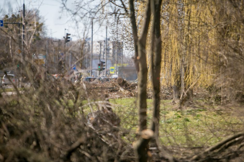 Ištiko šokas: V. Krėvės prospekte iškirto visą eilę medžių