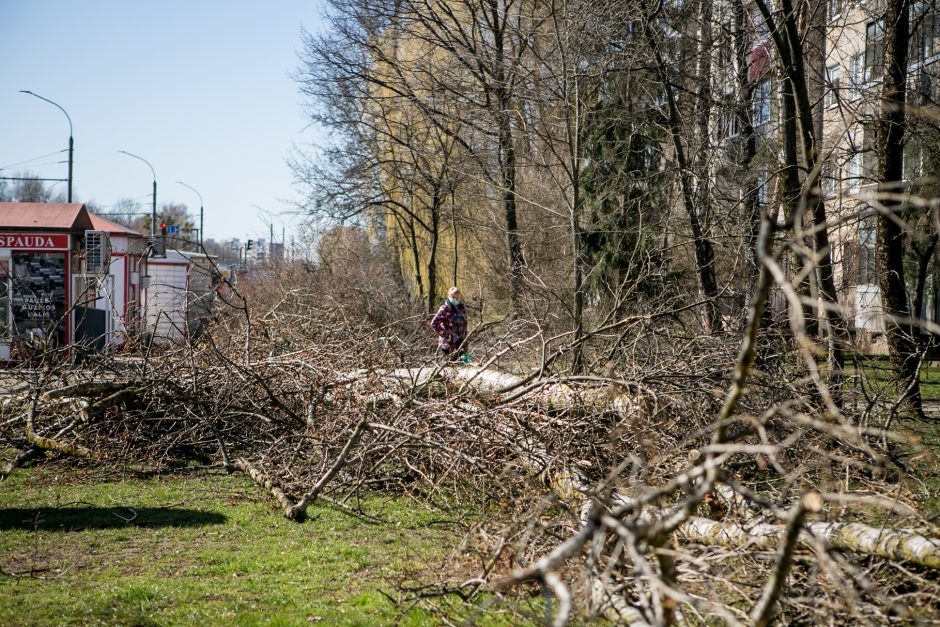 Ištiko šokas: V. Krėvės prospekte iškirto visą eilę medžių