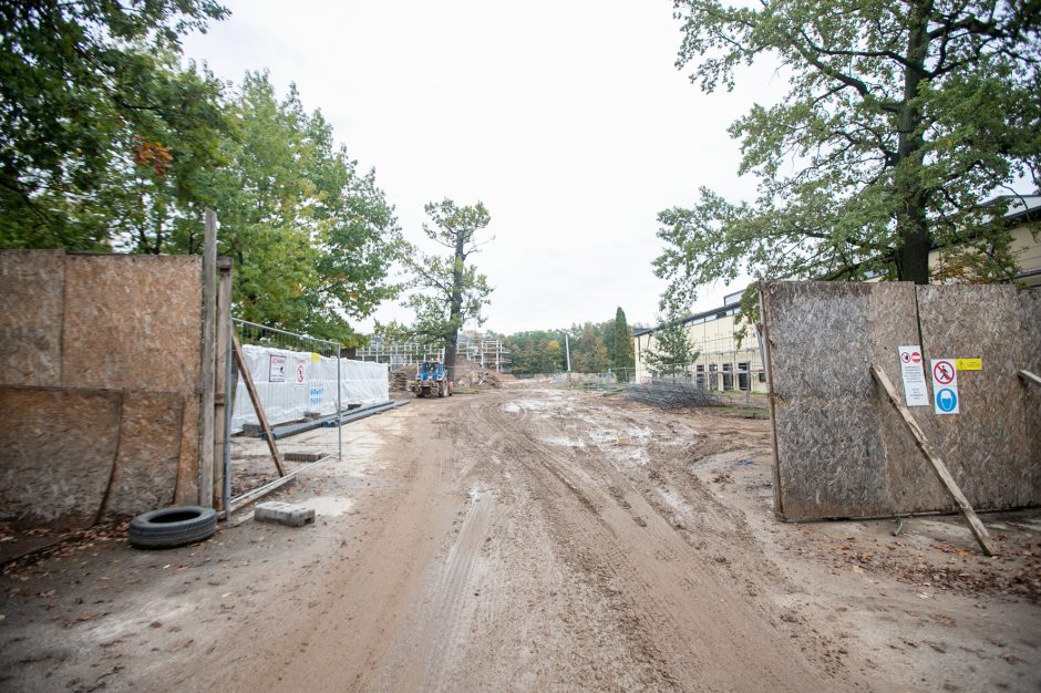 Žiema nesustabdys Kauno stadiono rekonstrukcijos