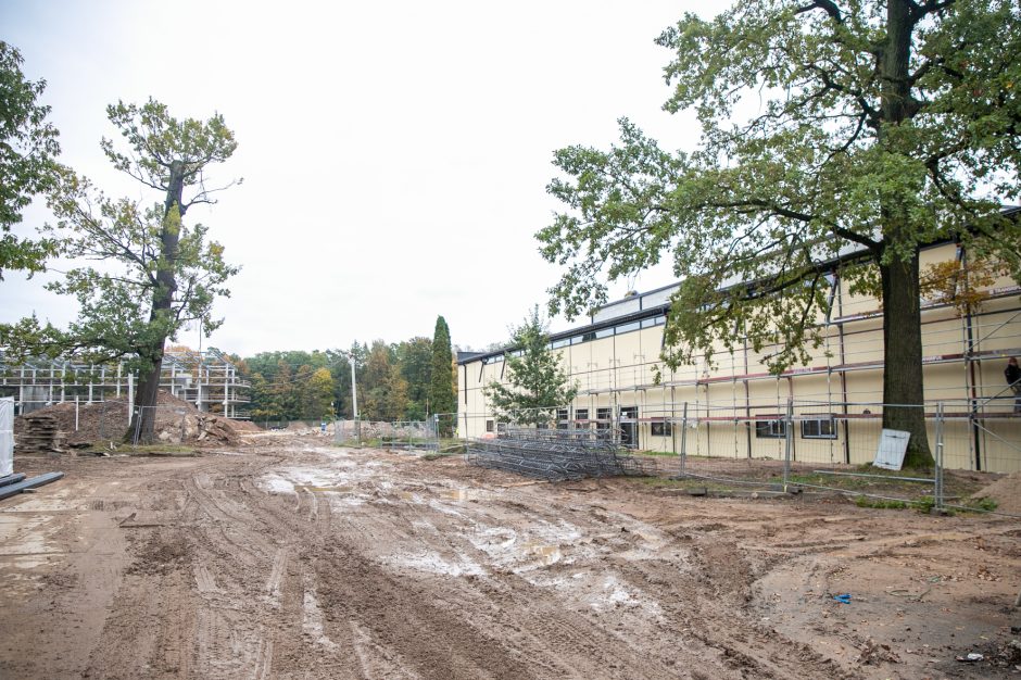 Žiema nesustabdys Kauno stadiono rekonstrukcijos