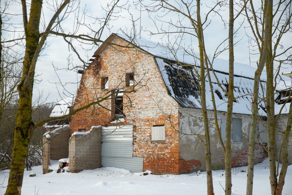 Nykstantį Linkuvos dvaro parką Kaunas sieks prikelti antram gyvenimui