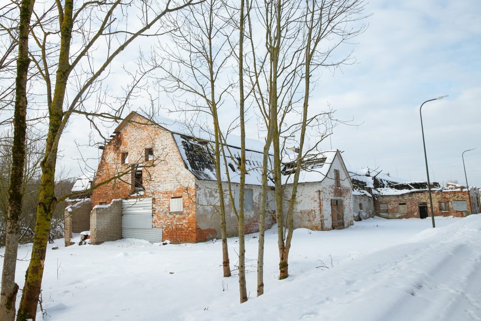 Nykstantį Linkuvos dvaro parką Kaunas sieks prikelti antram gyvenimui