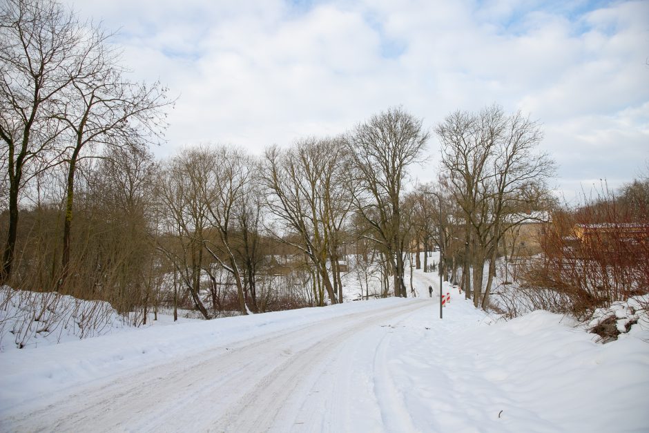 Nykstantį Linkuvos dvaro parką Kaunas sieks prikelti antram gyvenimui