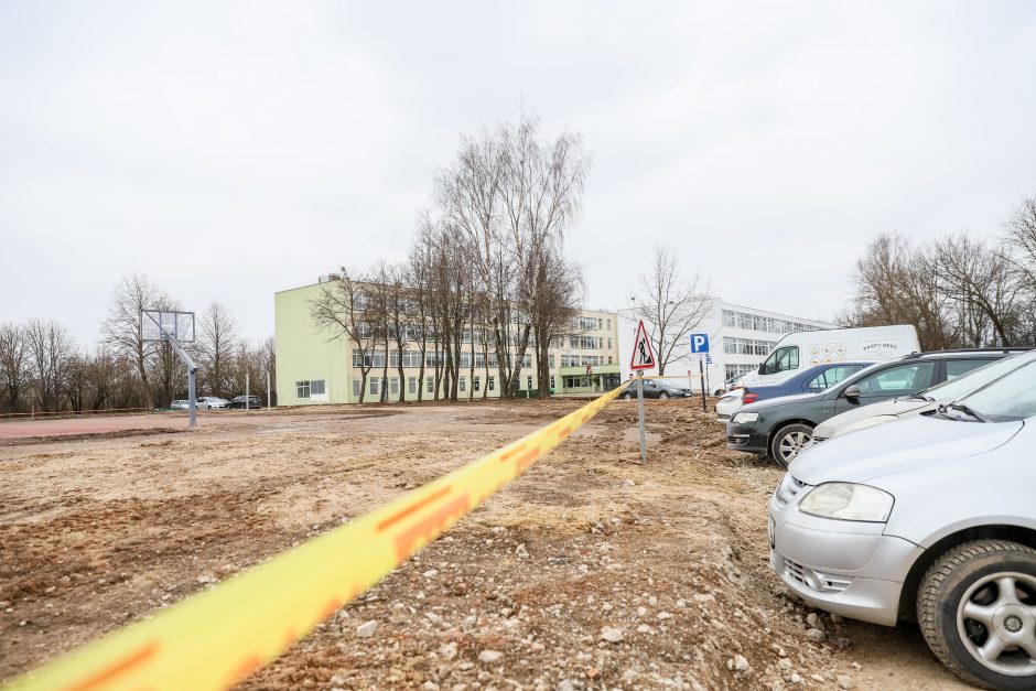 Žeimenos gatvės gyventojai priešinasi daugiabučių invazijai