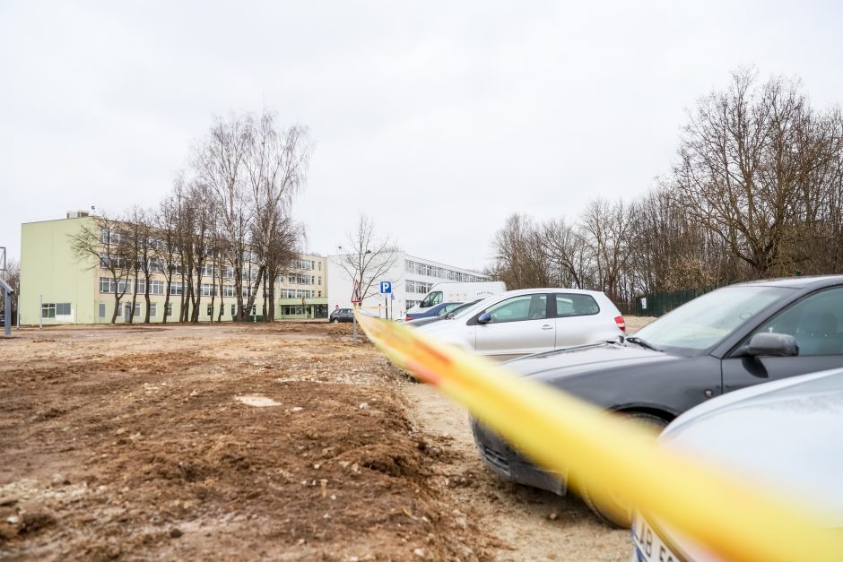 Žeimenos gatvės gyventojai priešinasi daugiabučių invazijai