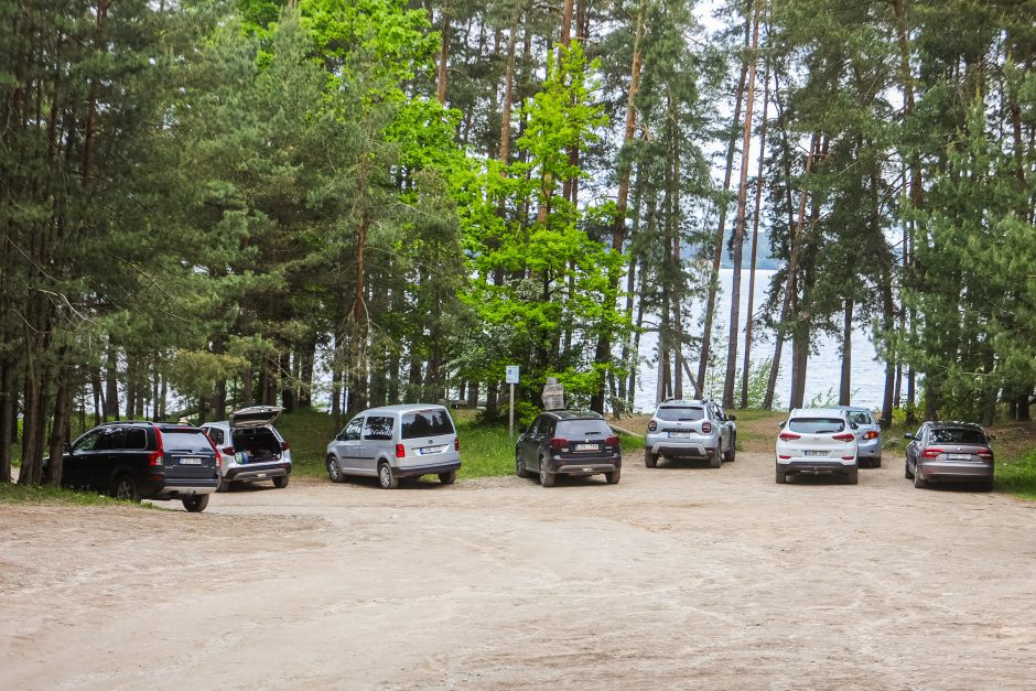 Valdininkų piknikas: darbo metu ir su brendžiu