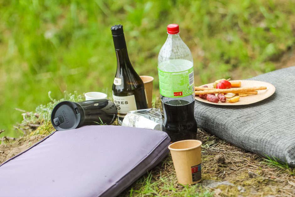 Už valdininkų pikniką – nuobauda, bet liko klausimų