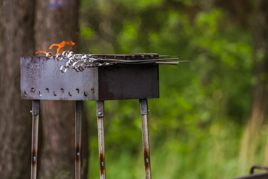 Už valdininkų pikniką – nuobauda, bet liko klausimų