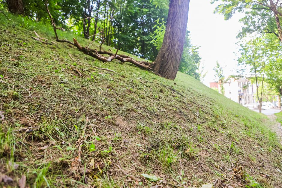 Gyventojai šokiruoti: prie Kauko laiptų žolę nuskuto iki pat laikančiųjų konstrukcijų