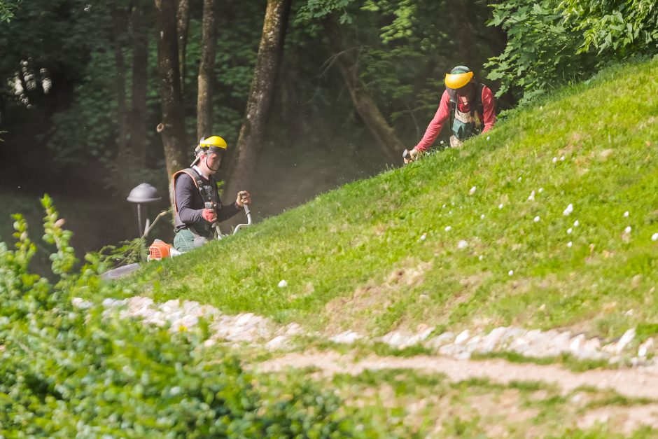 Gyventojai šokiruoti: prie Kauko laiptų žolę nuskuto iki pat laikančiųjų konstrukcijų