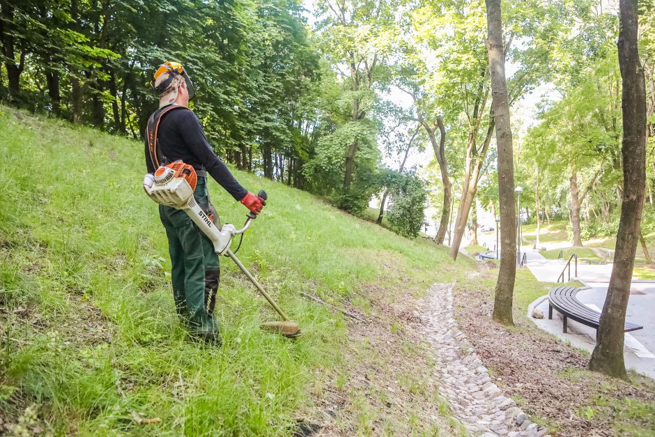 Gyventojai šokiruoti: prie Kauko laiptų žolę nuskuto iki pat laikančiųjų konstrukcijų