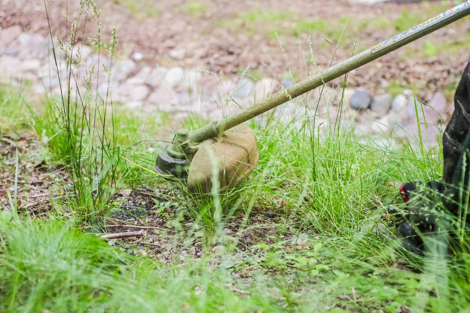 Gyventojai šokiruoti: prie Kauko laiptų žolę nuskuto iki pat laikančiųjų konstrukcijų