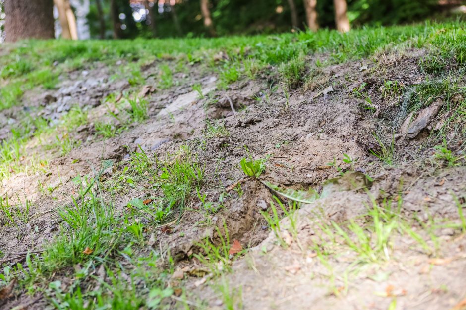 Gyventojai šokiruoti: prie Kauko laiptų žolę nuskuto iki pat laikančiųjų konstrukcijų