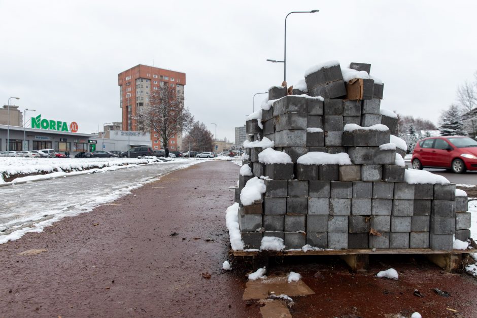 Žiema darbininkų namo nevaro: šiemet dar žadama nemažai ką nuveikti