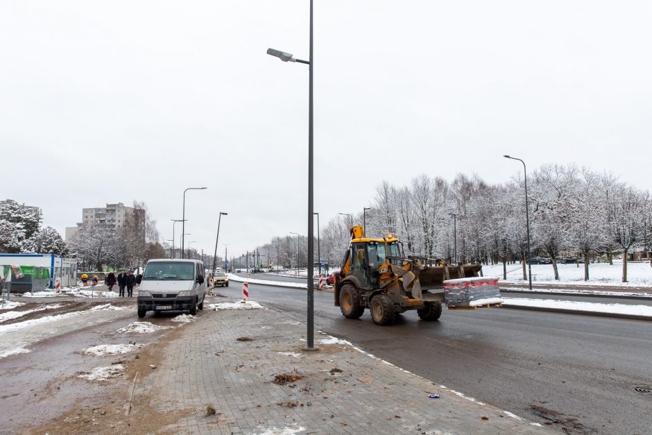 Žiema darbininkų namo nevaro: šiemet dar žadama nemažai ką nuveikti