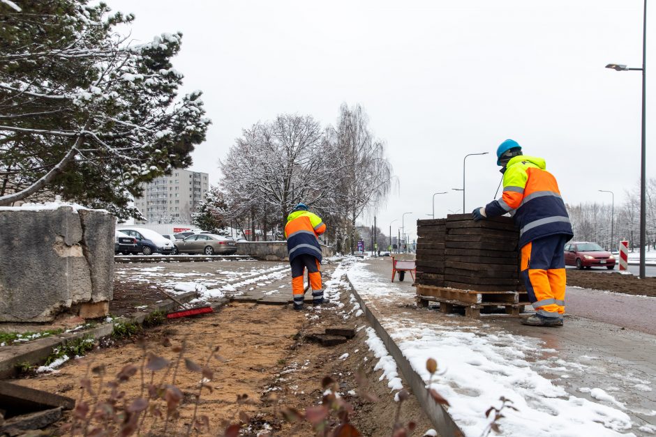 Žiema darbininkų namo nevaro: šiemet dar žadama nemažai ką nuveikti