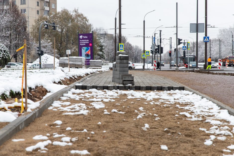 Žiema darbininkų namo nevaro: šiemet dar žadama nemažai ką nuveikti