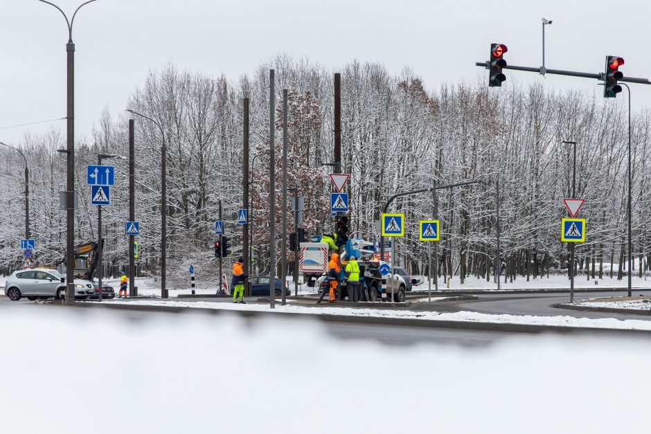 Žiema darbininkų namo nevaro: šiemet dar žadama nemažai ką nuveikti