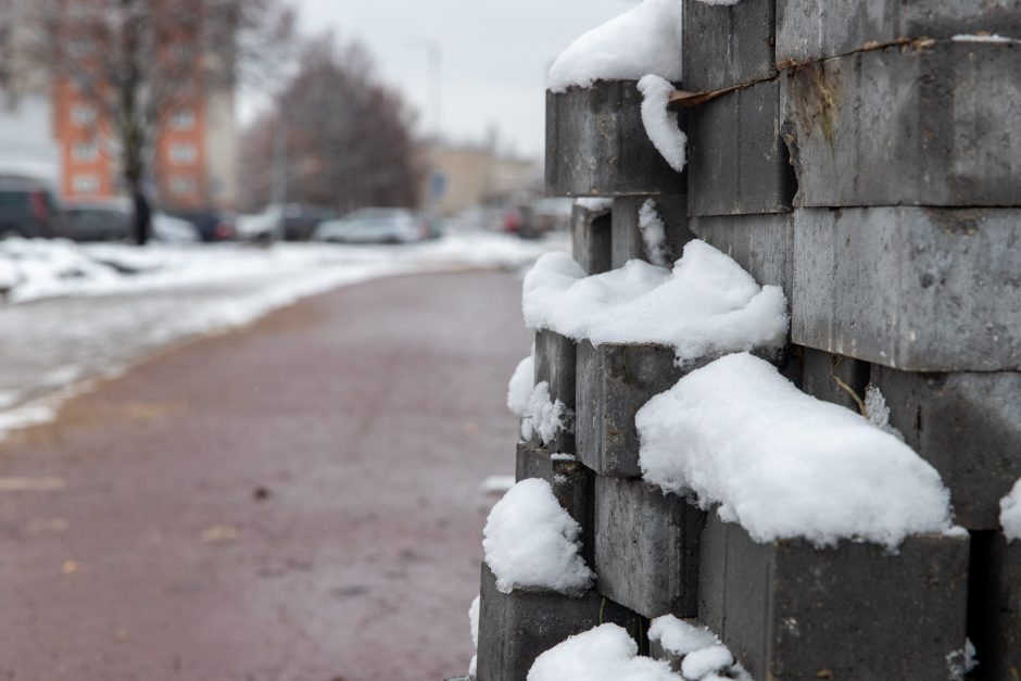 Žiema darbininkų namo nevaro: šiemet dar žadama nemažai ką nuveikti