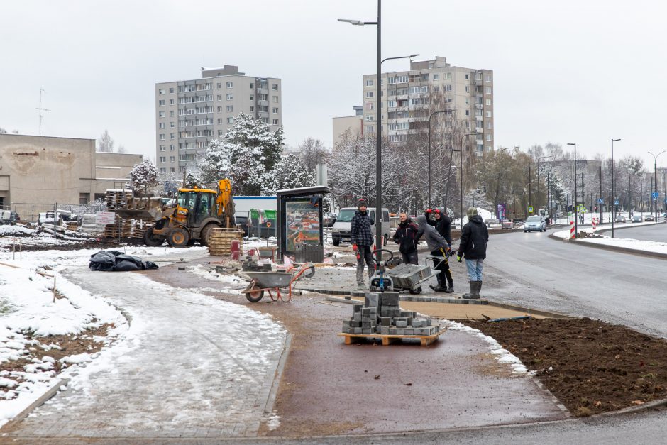 Žiema darbininkų namo nevaro: šiemet dar žadama nemažai ką nuveikti