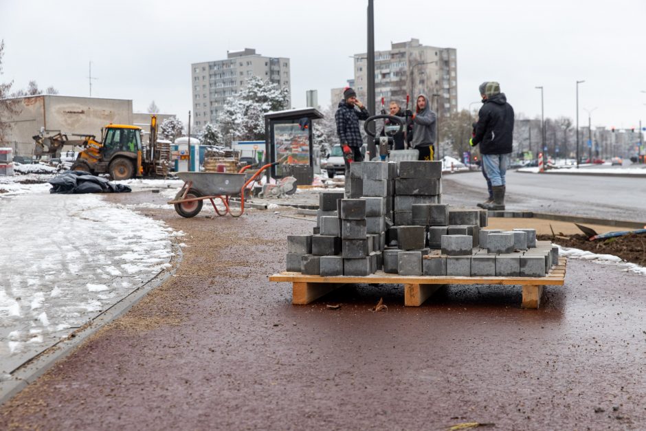 Žiema darbininkų namo nevaro: šiemet dar žadama nemažai ką nuveikti