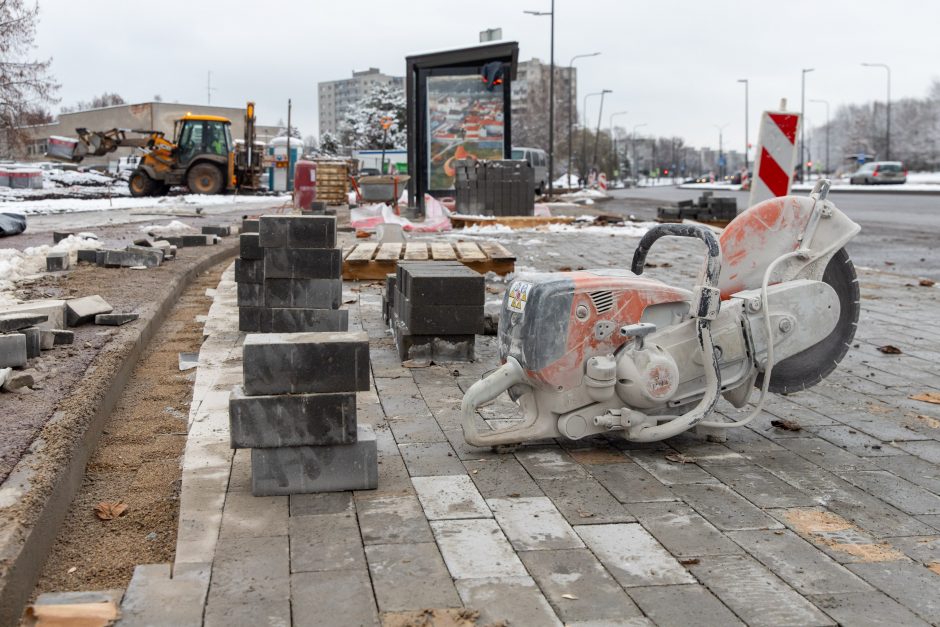 Žiema darbininkų namo nevaro: šiemet dar žadama nemažai ką nuveikti