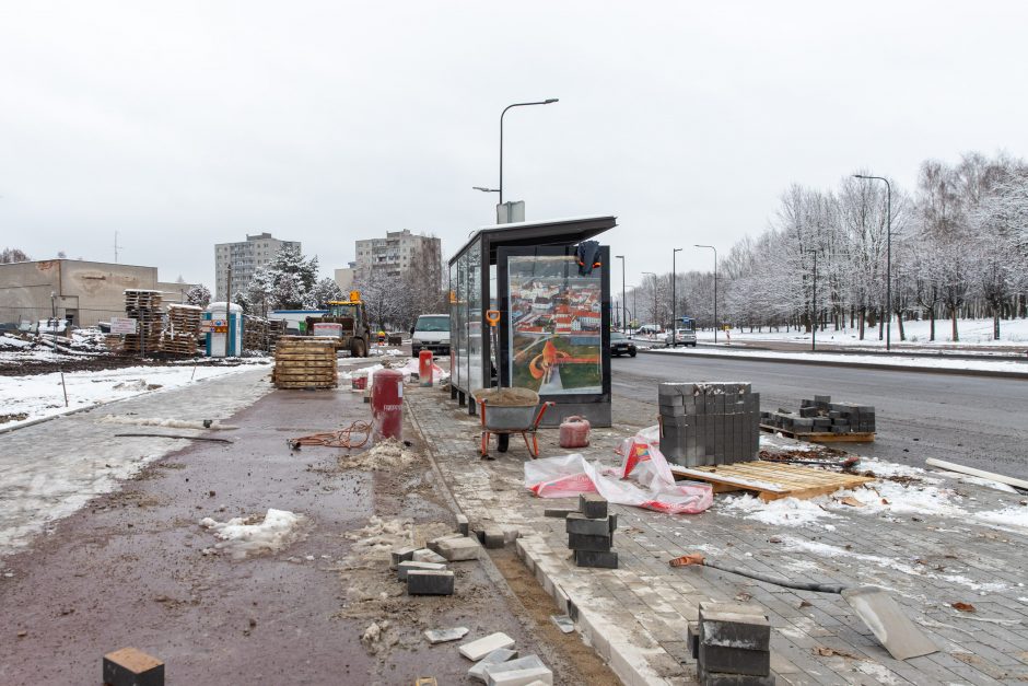 Žiema darbininkų namo nevaro: šiemet dar žadama nemažai ką nuveikti