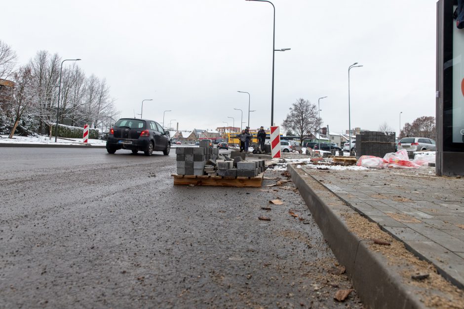 Žiema darbininkų namo nevaro: šiemet dar žadama nemažai ką nuveikti