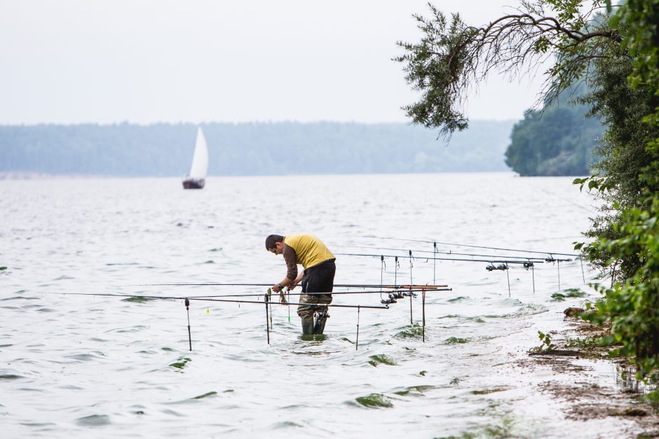 Kauno marios atsigauna: suveikė ir draudimas