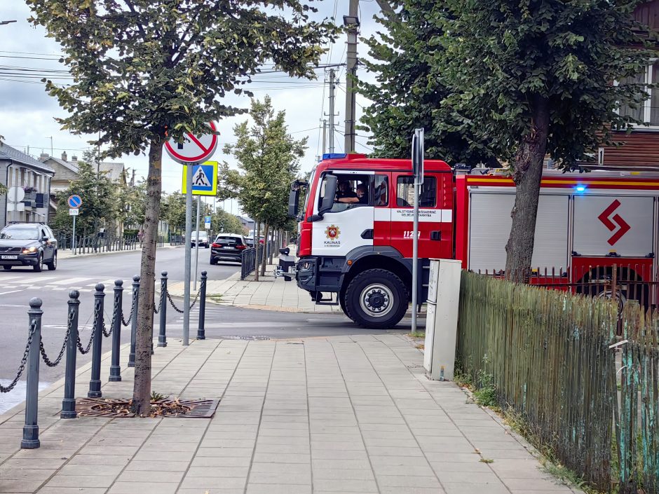 Užfiksavo: „Mercedes-Benz“ virto ugnies fakelu