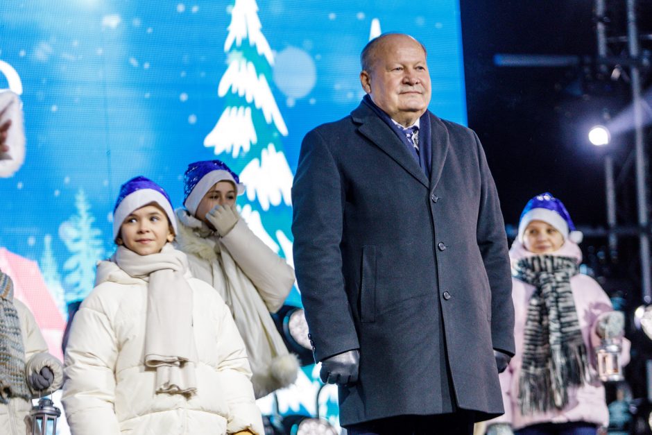 Kauno rajone apsigyveno Kalėdos: Raudondvaryje įžiebta gražuolė eglė!