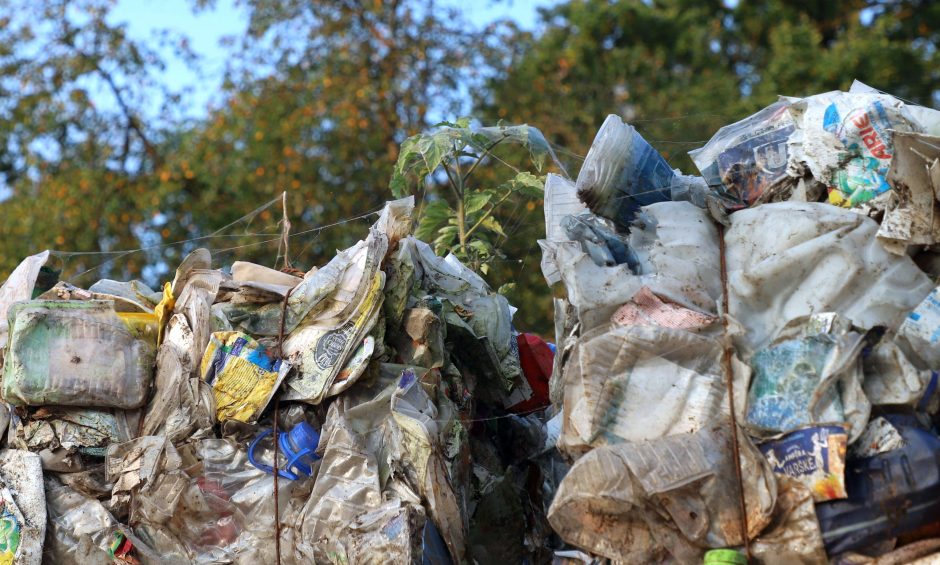 Du merai tvirtina: Kauno MBA smarvę gali įveikti tvarka ir mokslo naujovės