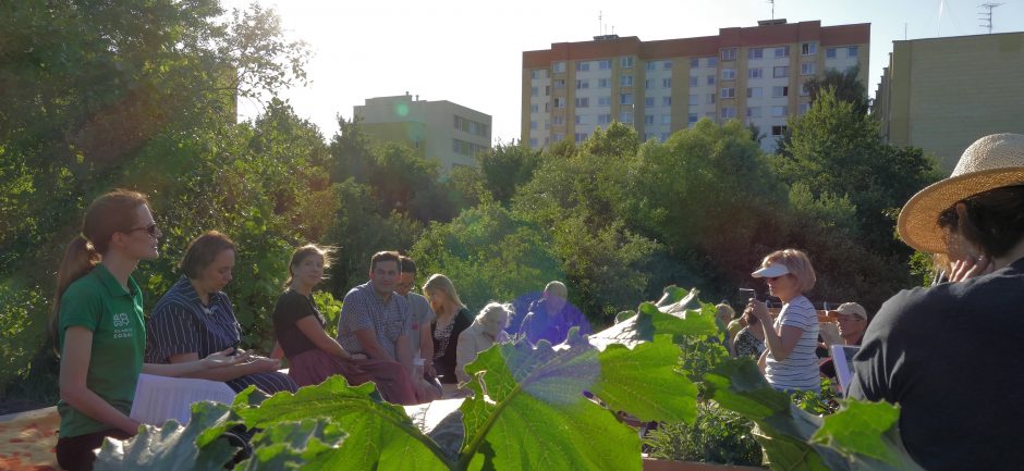 Miesto sodai Šilainiuose: daugiau nei pačių užauginti ridikėliai