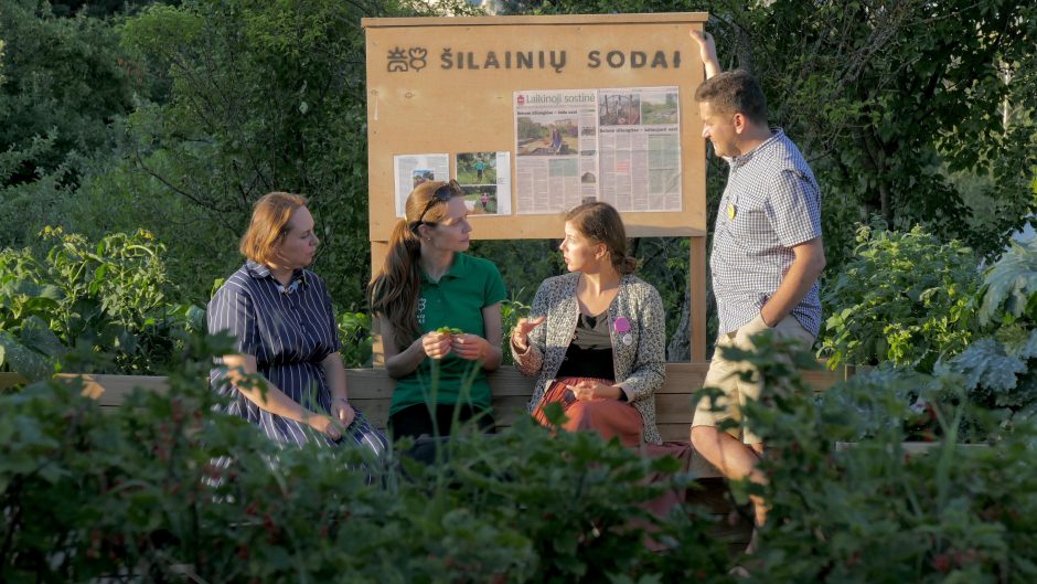 Miesto sodai Šilainiuose: daugiau nei pačių užauginti ridikėliai