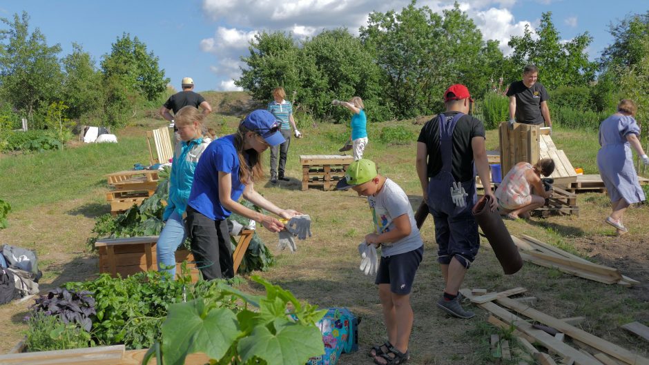 Miesto sodai Šilainiuose: daugiau nei pačių užauginti ridikėliai