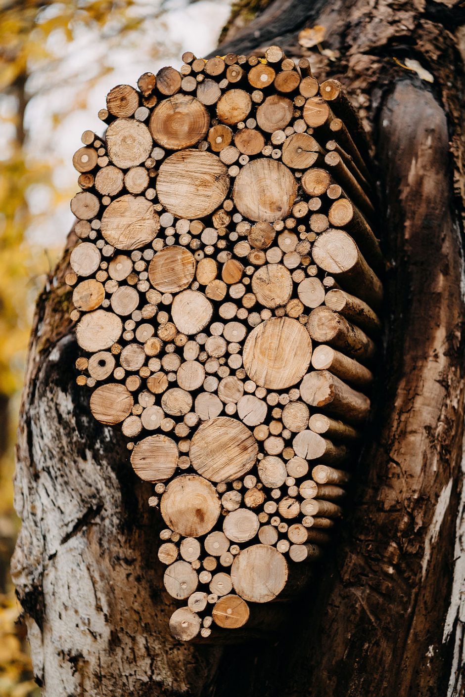 Paraką papuošė gamta, žmonės ir ruduo