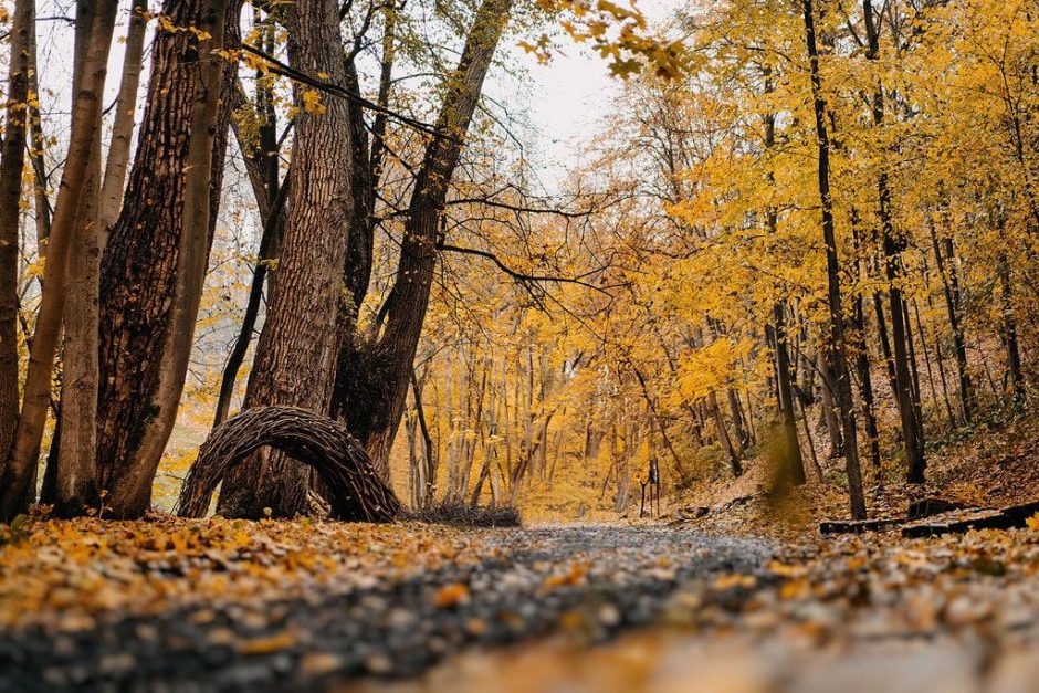 Paraką papuošė gamta, žmonės ir ruduo