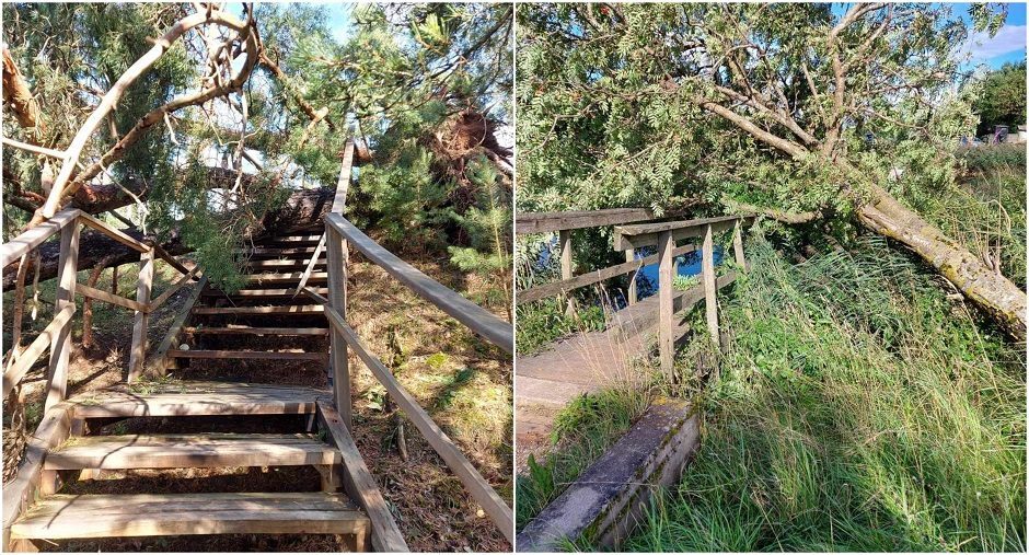 Ieško, kas sutvarkytų audros nuniokotą Žagarės dvaro parką