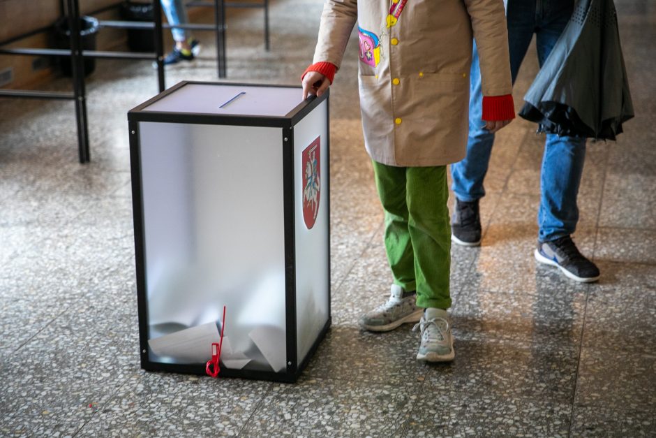 Ekspertai: mažas aktyvumas EP rinkimuose palankus sisteminėms partijoms