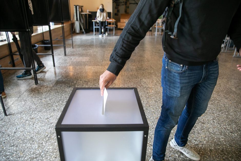 Ekspertai: mažas aktyvumas EP rinkimuose palankus sisteminėms partijoms