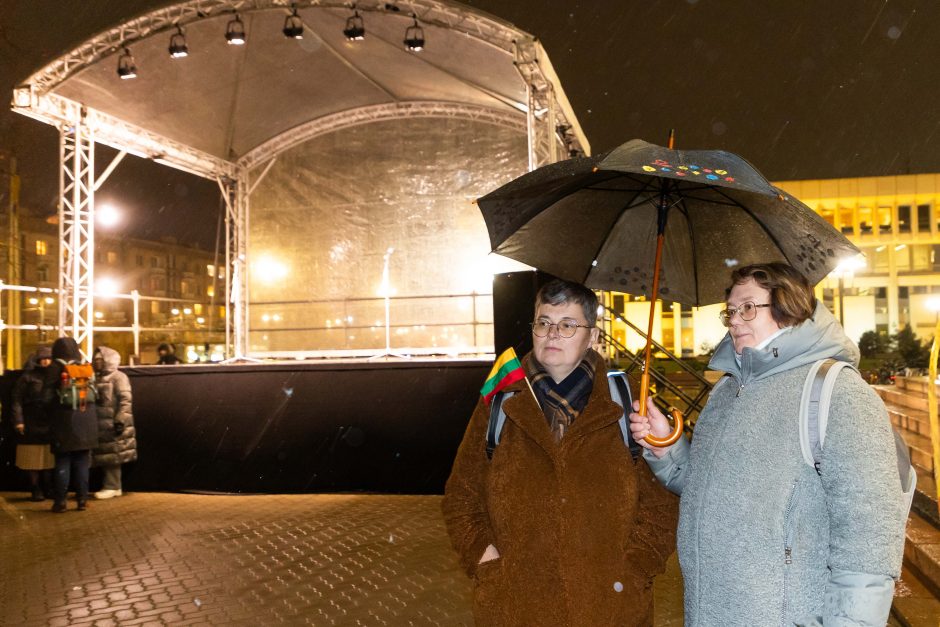 Vienas protesto organizatorių prašo G. Palucko paneigti žodžius apie „Dešimt tylos minučių“