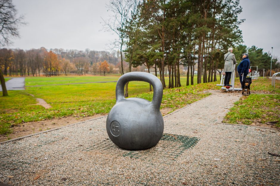 Menininko iššūkis sportininkams Santakos parke – toną sveriantis svarstis