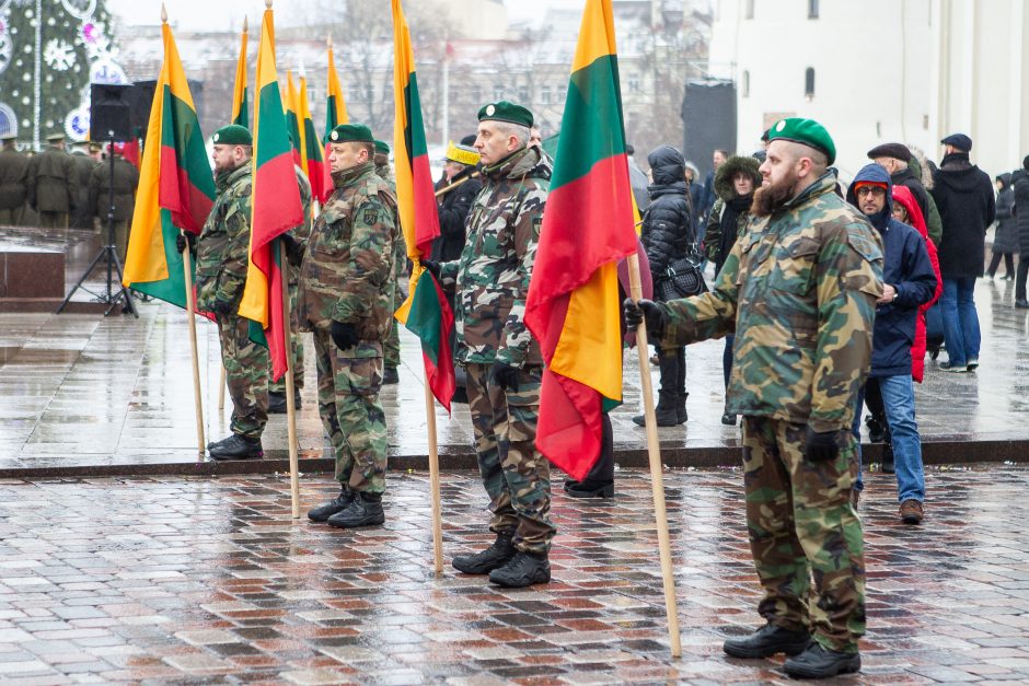 Minint Lietuvos vėliavos iškėlimo Gedimino pilies bokšte šimtmetį pagerbta trispalvė