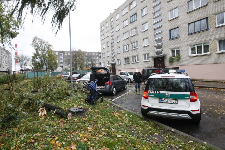 Vėtra uostamiestyje: niokojami automobiliai, į uostą neįplaukia laivai