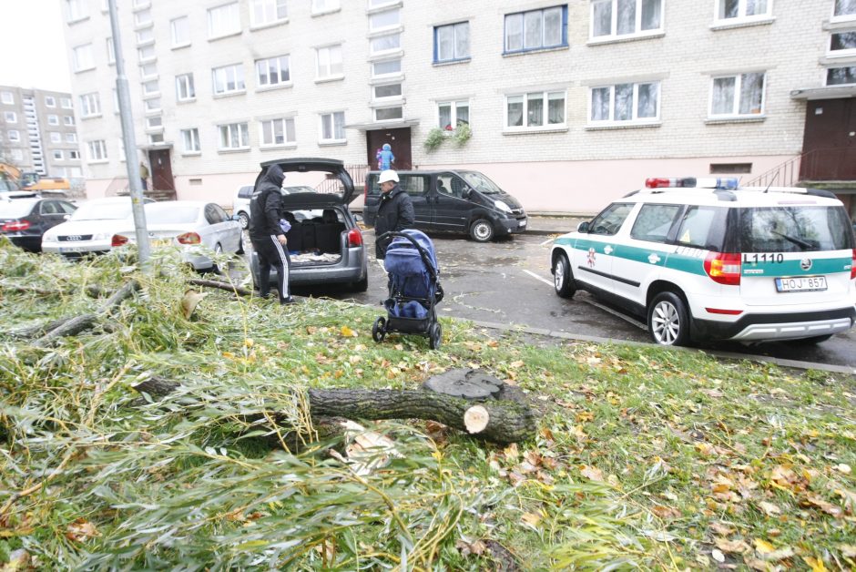 Vėtra uostamiestyje: niokojami automobiliai, į uostą neįplaukia laivai