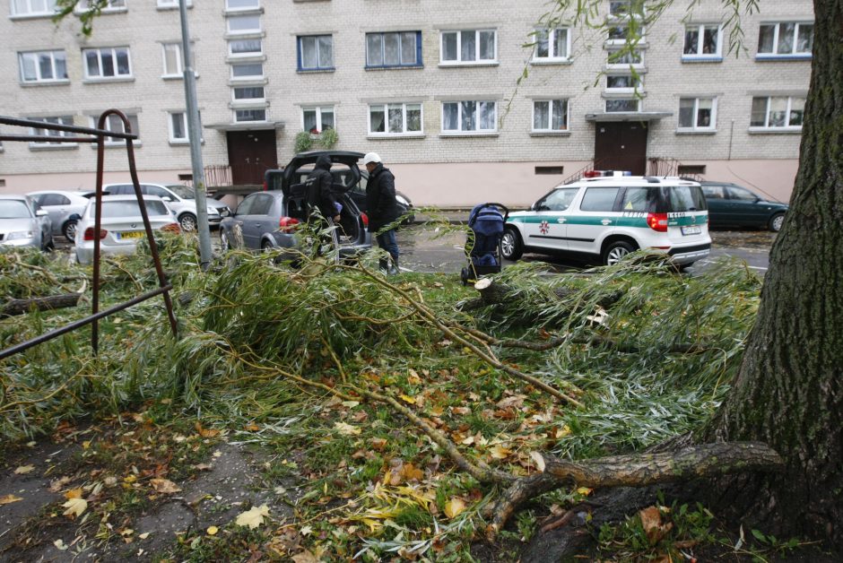 Vėtra uostamiestyje: niokojami automobiliai, į uostą neįplaukia laivai