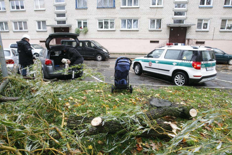 Vėtra uostamiestyje: niokojami automobiliai, į uostą neįplaukia laivai