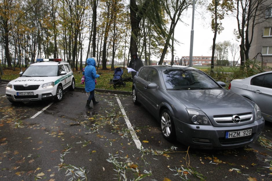 Vėtra uostamiestyje: niokojami automobiliai, į uostą neįplaukia laivai